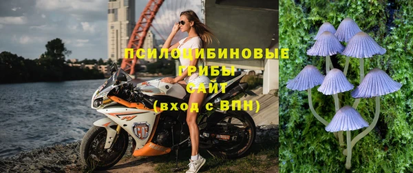 apvp Богородск