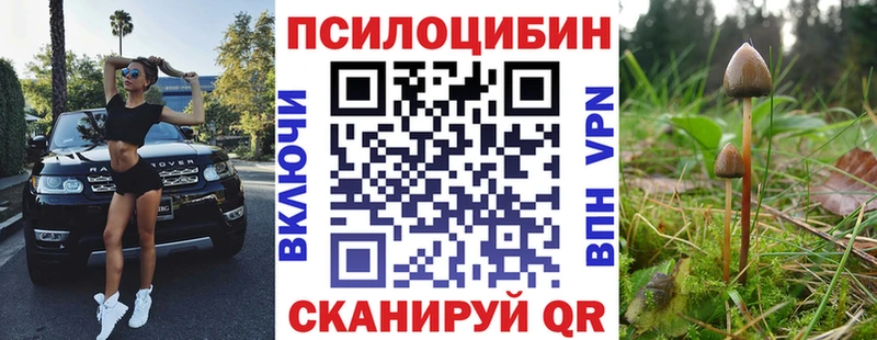 Галлюциногенные грибы Psilocybe маркетплейс официальный сайт Уссурийск